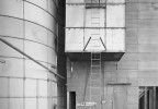 Ladder And Hobber Near Willows - 2000 | David Stark Wilson